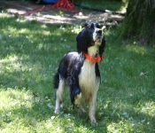 July4th2011 272